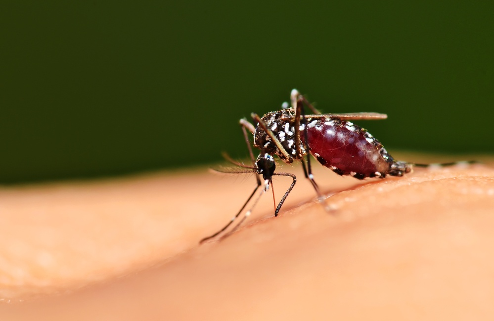 Почему комары кого-то кусают, а кого-то нет?