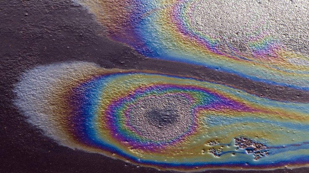 В Арктике нашли бактерии, поедающие нефть и солярк